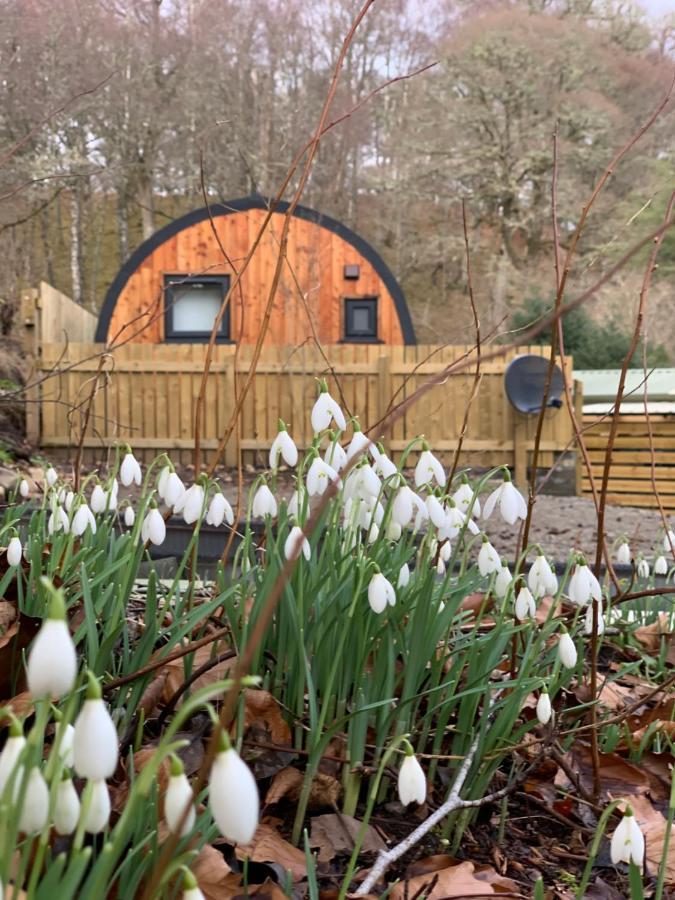 Hotel Loch Ness Woodland Pods Drumnadrochit Exterior foto