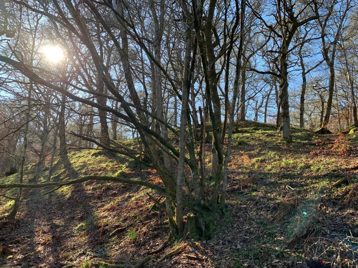 Hotel Loch Ness Woodland Pods Drumnadrochit Exterior foto